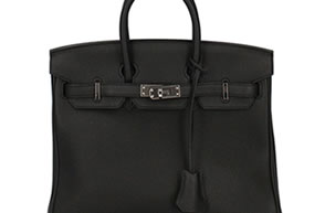 LIPS リップス エルメス バーキン